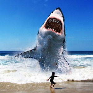 beach shark